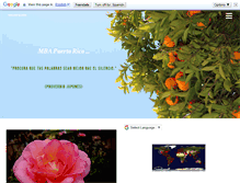 Tablet Screenshot of mbapuertorico.com